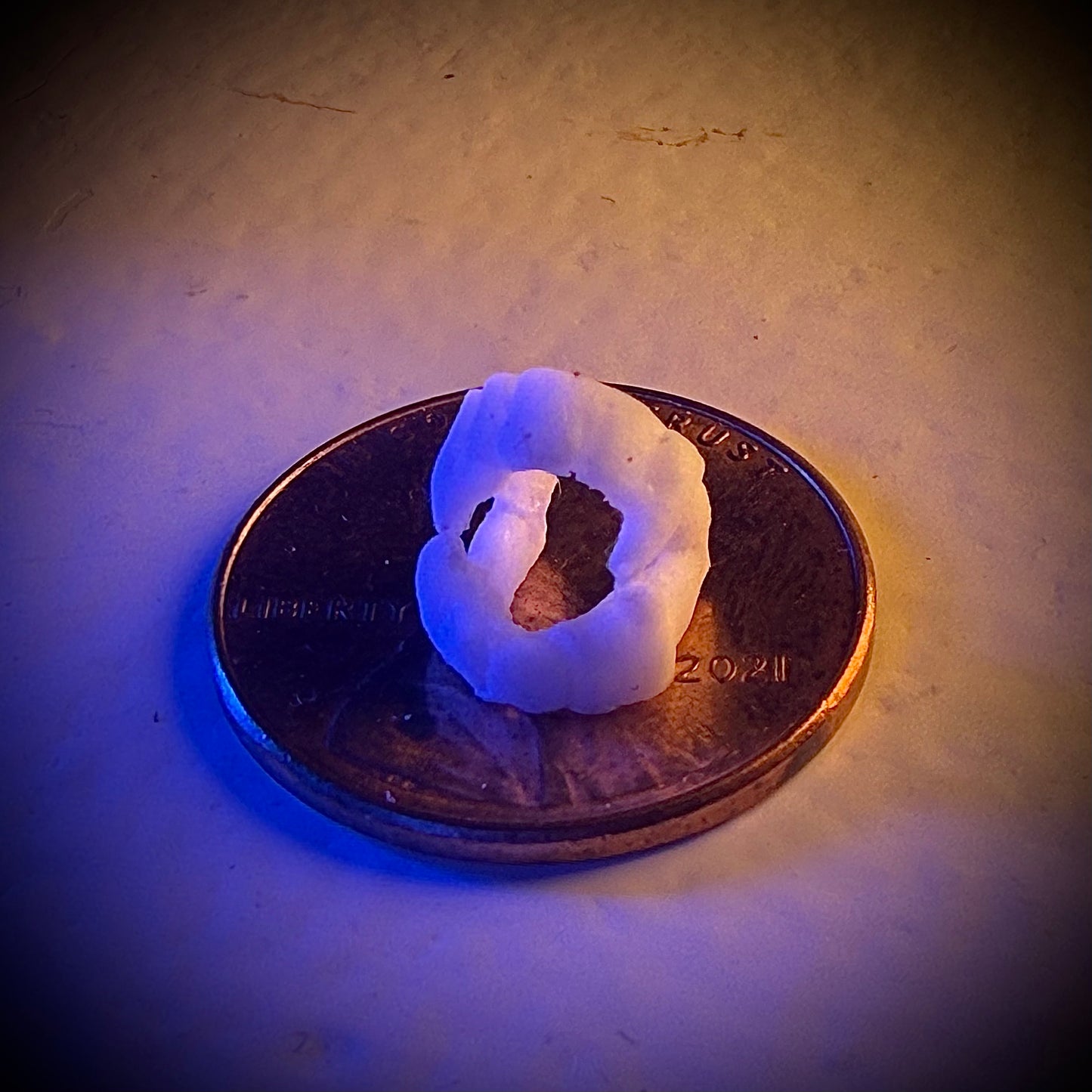 Morbid Minis: Vampire Fangs